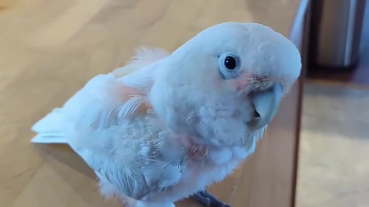 Not So Happy