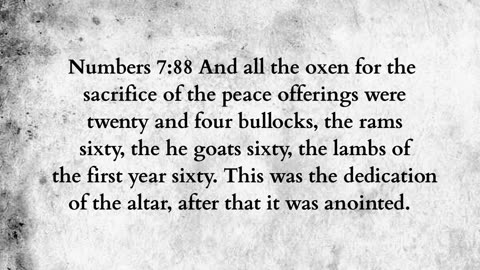 Martus Ministry -366- Altar oxen