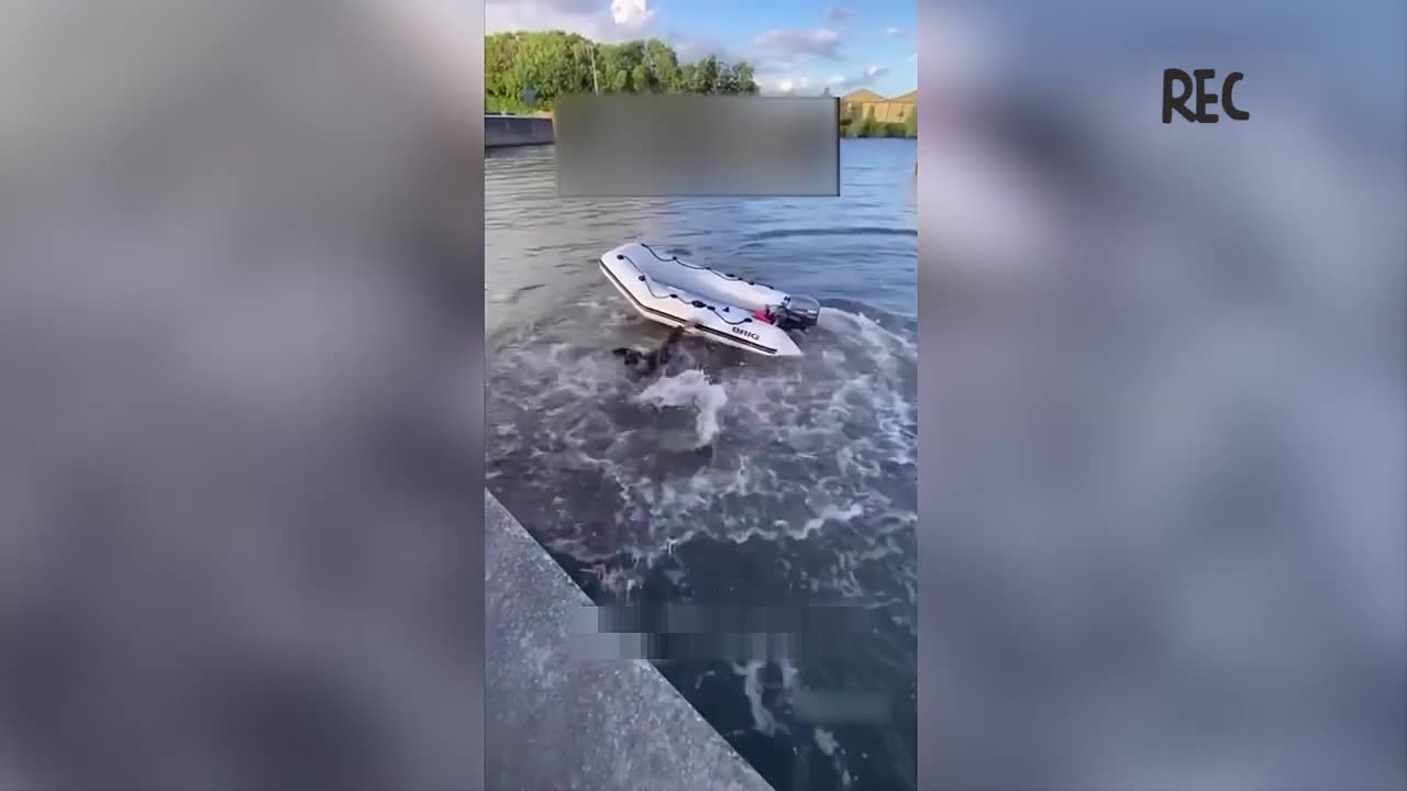 Try Not To Laugh Challenge 🤣 Only 1% Can Survive This