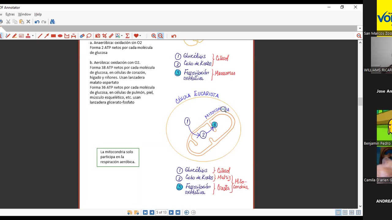 VONEX SEMESTRAL 2024 | Semana 07 | Biología