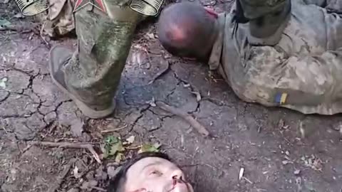 Ukraine war combat footage 8/30/25