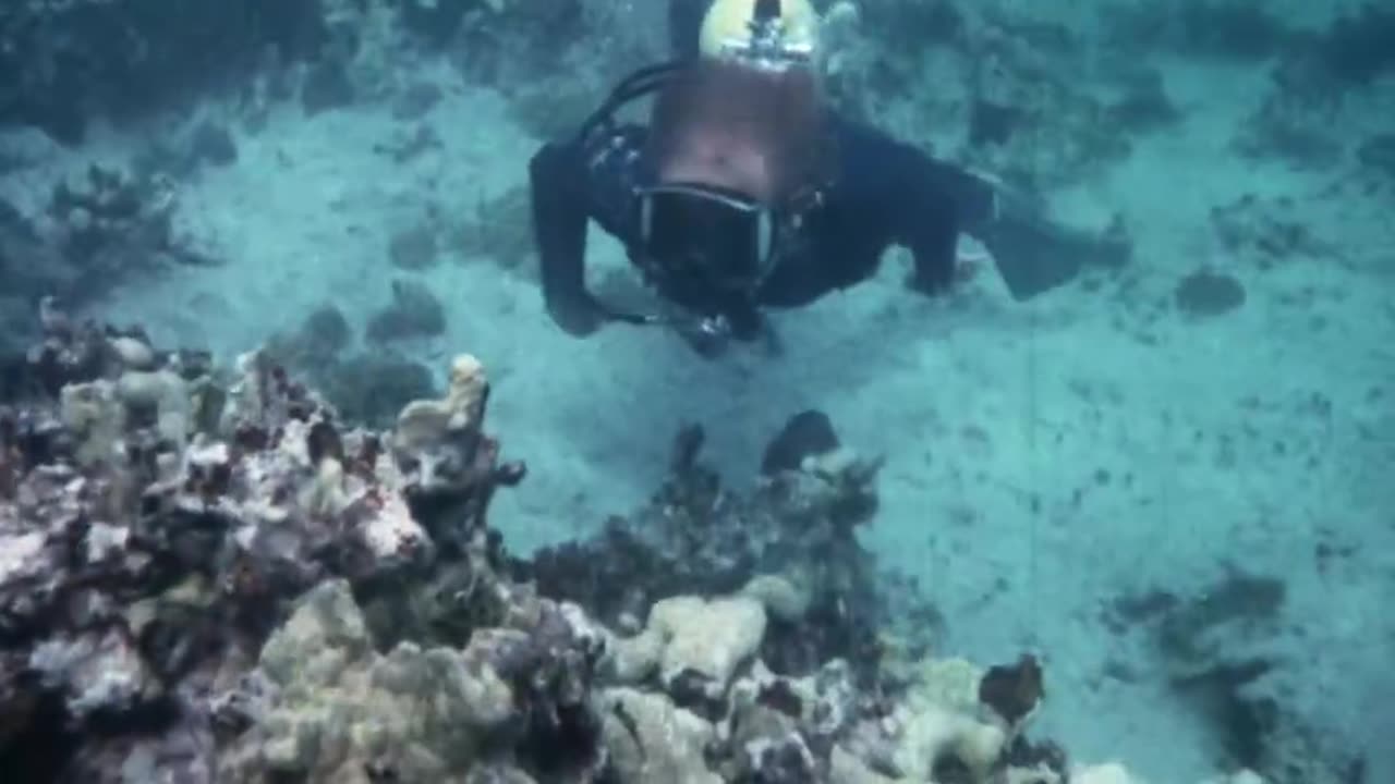 "Mako: The Jaws of Death"