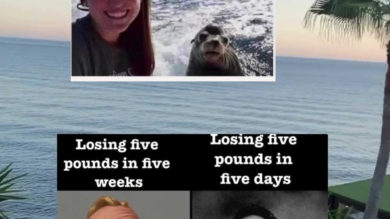 Memes of the day | funny memes | #funny