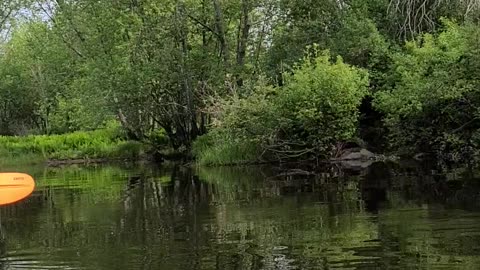 Kkkayak