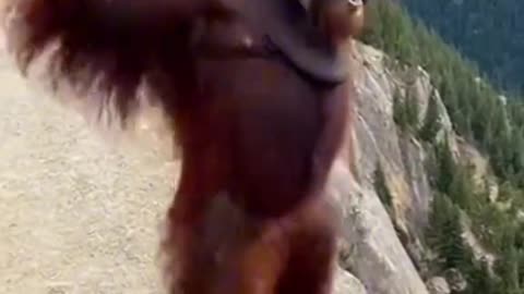 Big guy gets a surprise ai