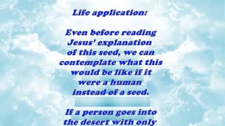Matthew 13:6 - Daily Bible Verse Commentary