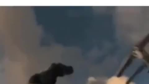 Meme