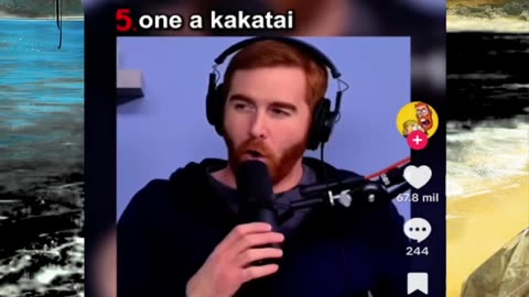 Just shorts videos - Follow 😜😋!!!!!!!