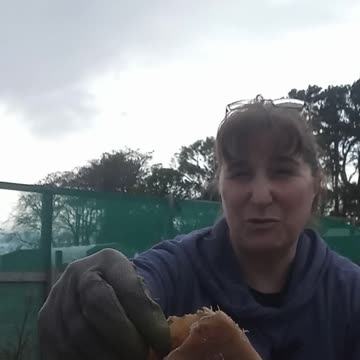 How did this get on my allotment? #allotmentgardeninguk #weirdfind