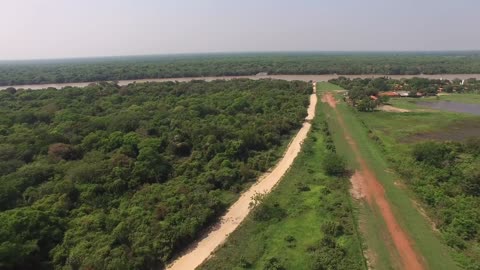 Brazil Untamed: Series 1_Jaguar Den