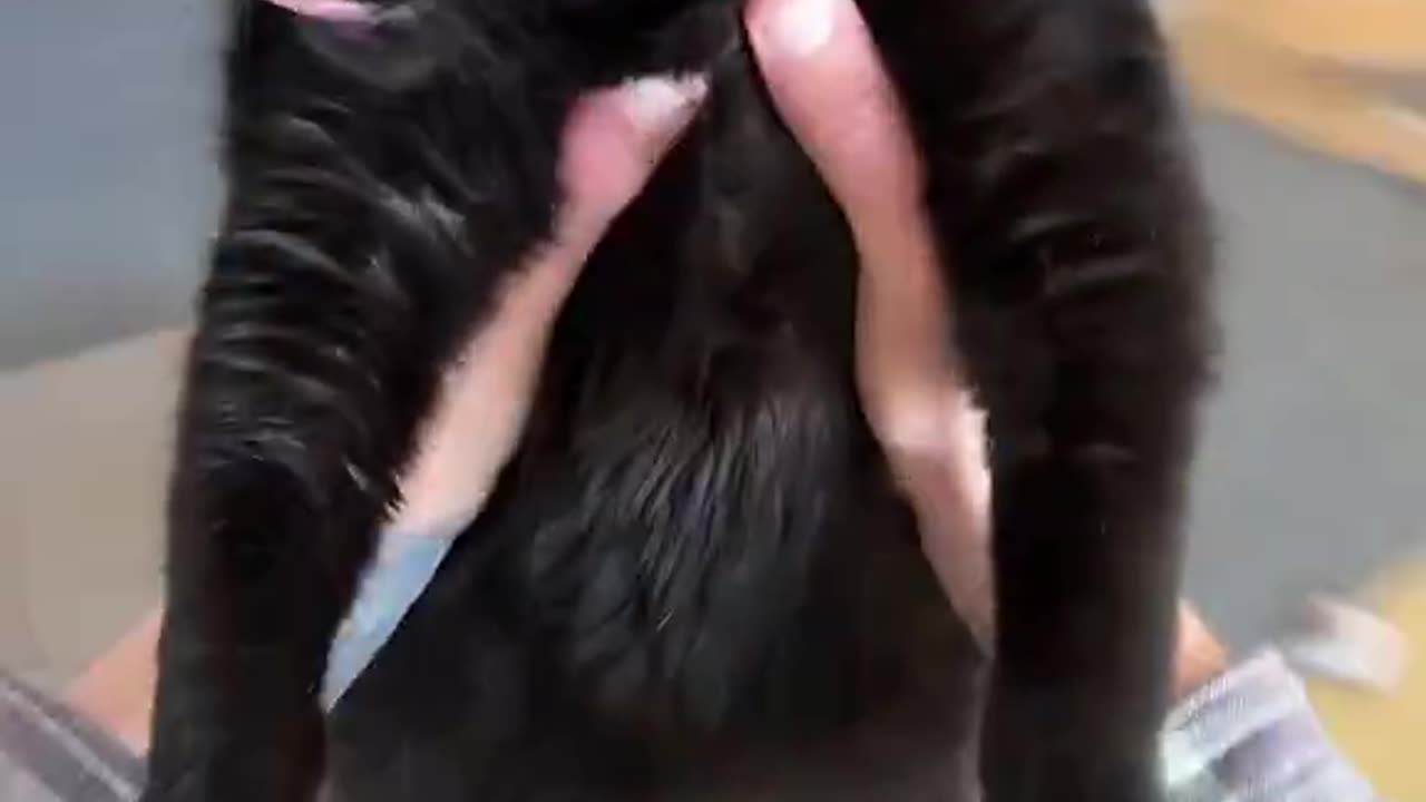 the feet😭
