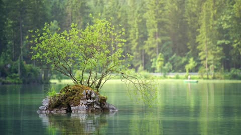 1 Hour Relaxing Guitar & Piano by a Peaceful Lake | Calming Nature Music for Sleep & Focus