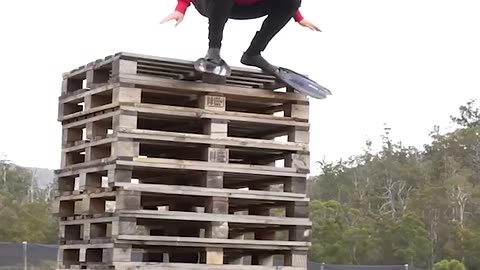 funny videos