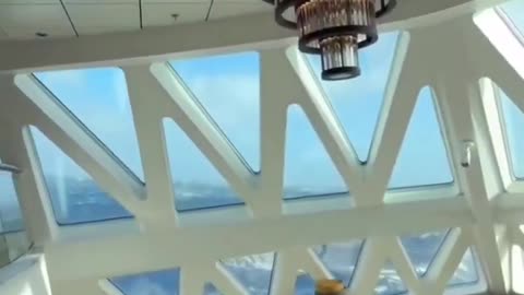 Footage from passengers aboard a cruise ship in the Drake Passage