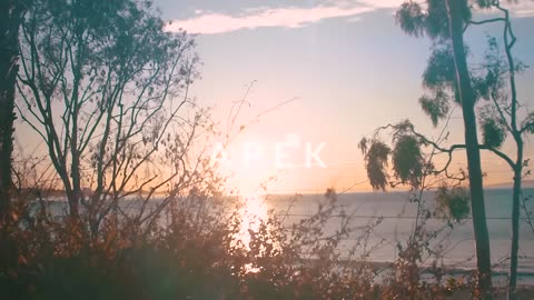 APEK - Exposed (Official Music Video) ft. April Bender