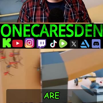 Fish or Fishes? ONECARESDEN’s Got No Time for Your Word Games