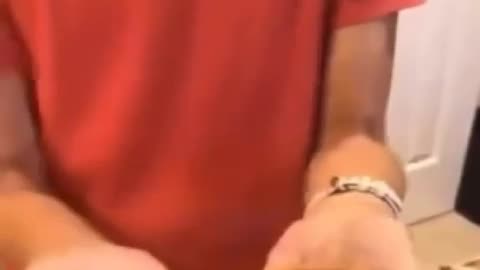 What happens when you leave McDonald's hamburger in a bag for 20 years?