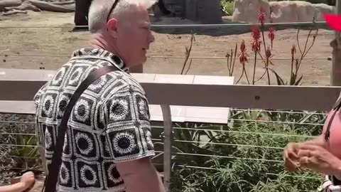 Saw a fight break out at the zoo over a hat