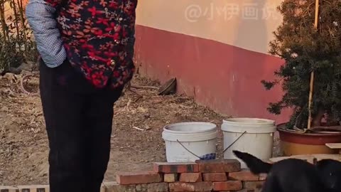 Hilarious Painting: Dog Wonders, 'Is There Another Pup in This Home?'