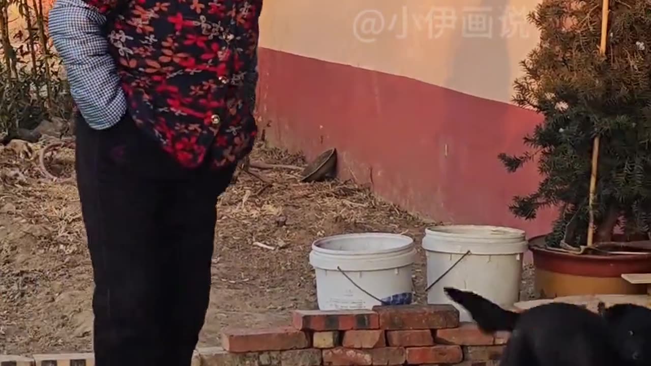 Hilarious Painting: Dog Wonders, 'Is There Another Pup in This Home?'