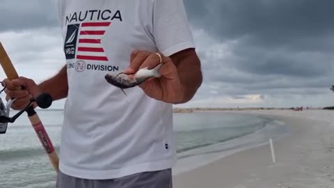 a pesca ho imparato come pescare grossi squali, fishing shark, ma bisognain compagnia_part36
