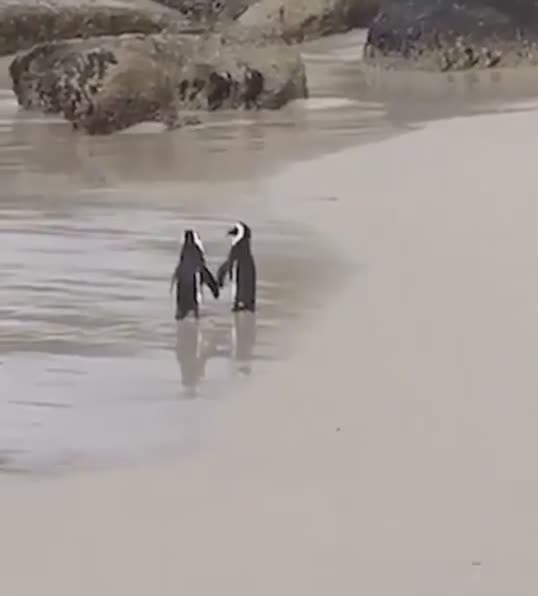 Stroll on a beach with loved ones