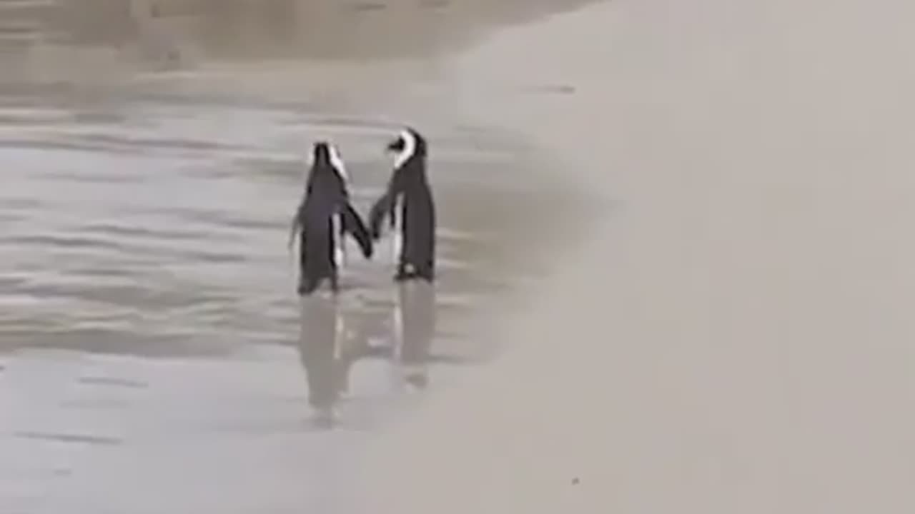 Stroll on a beach with loved ones