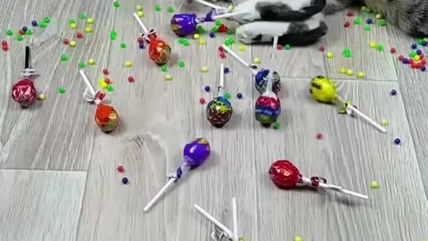 Cat Barsik Beads