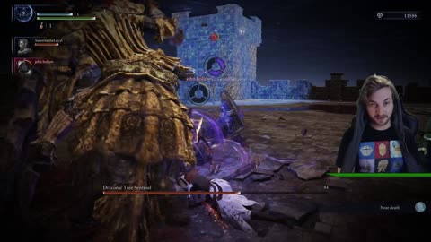 I'm just a casual enjoyer (Nightreign)