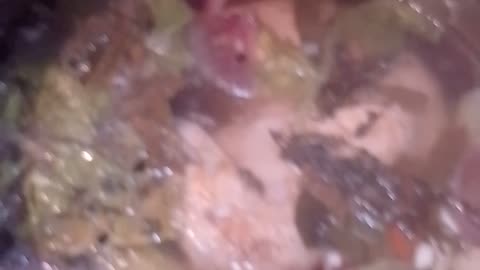 My Rabbit Stew Simmering