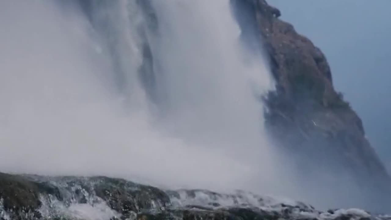 Daily Horoscope | Aquarius 🌟