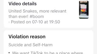 The crime that is tiktok