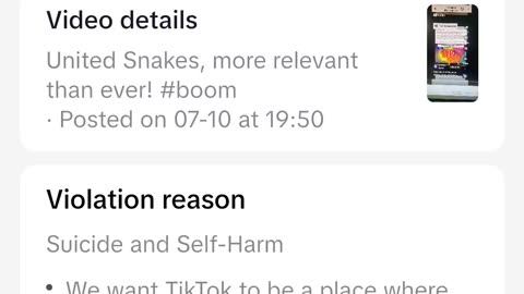 The crime that is tiktok