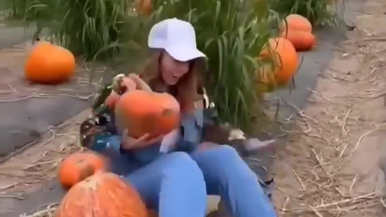 Funny Clips Shorts Watch & Laugh