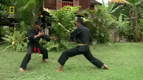 Silat