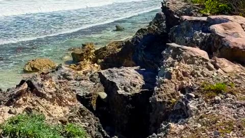 CANCUN 2025 - "New Year's Eve"