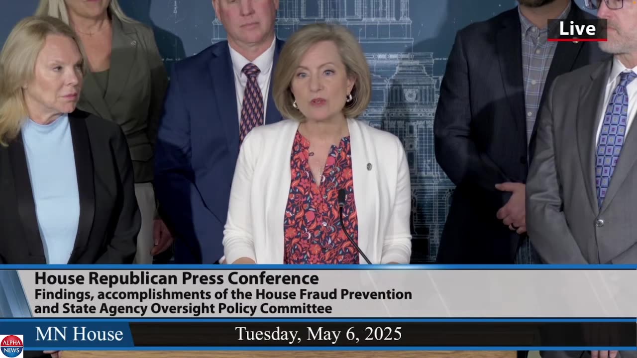 Minnesota fraud committee presents session findings and accomplishments