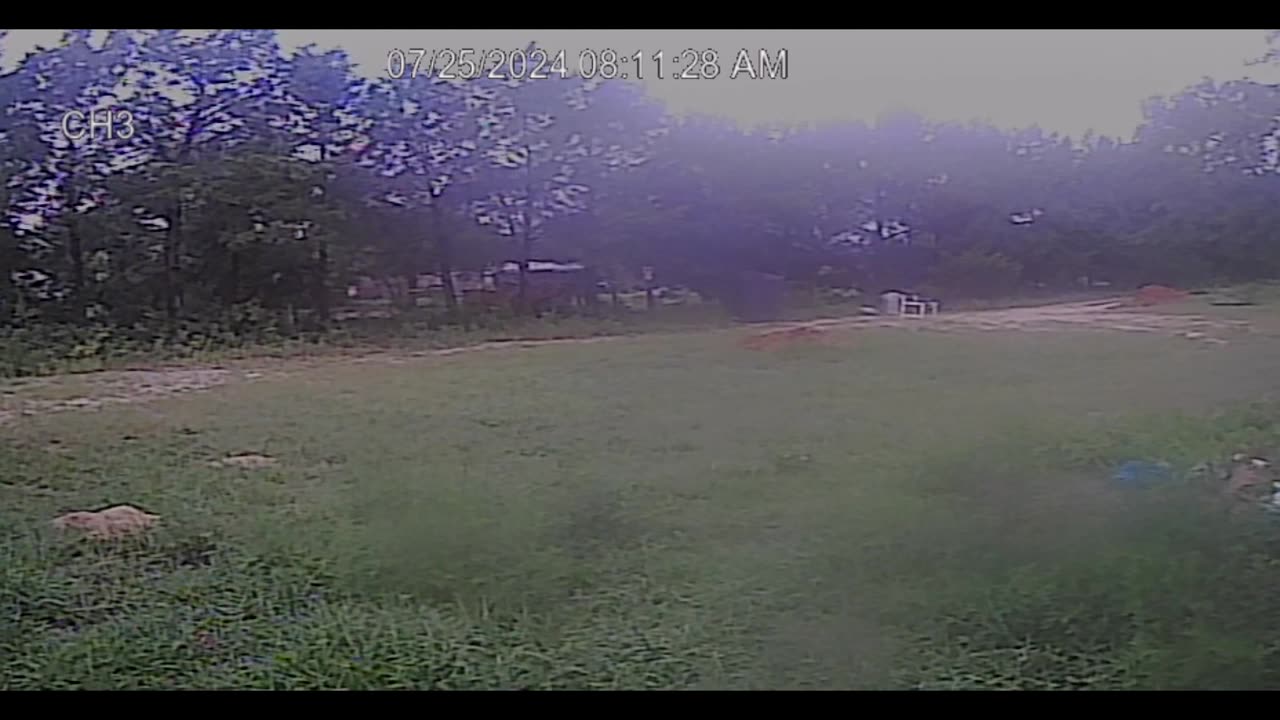 Sean Throwing Dynamite At My Animals