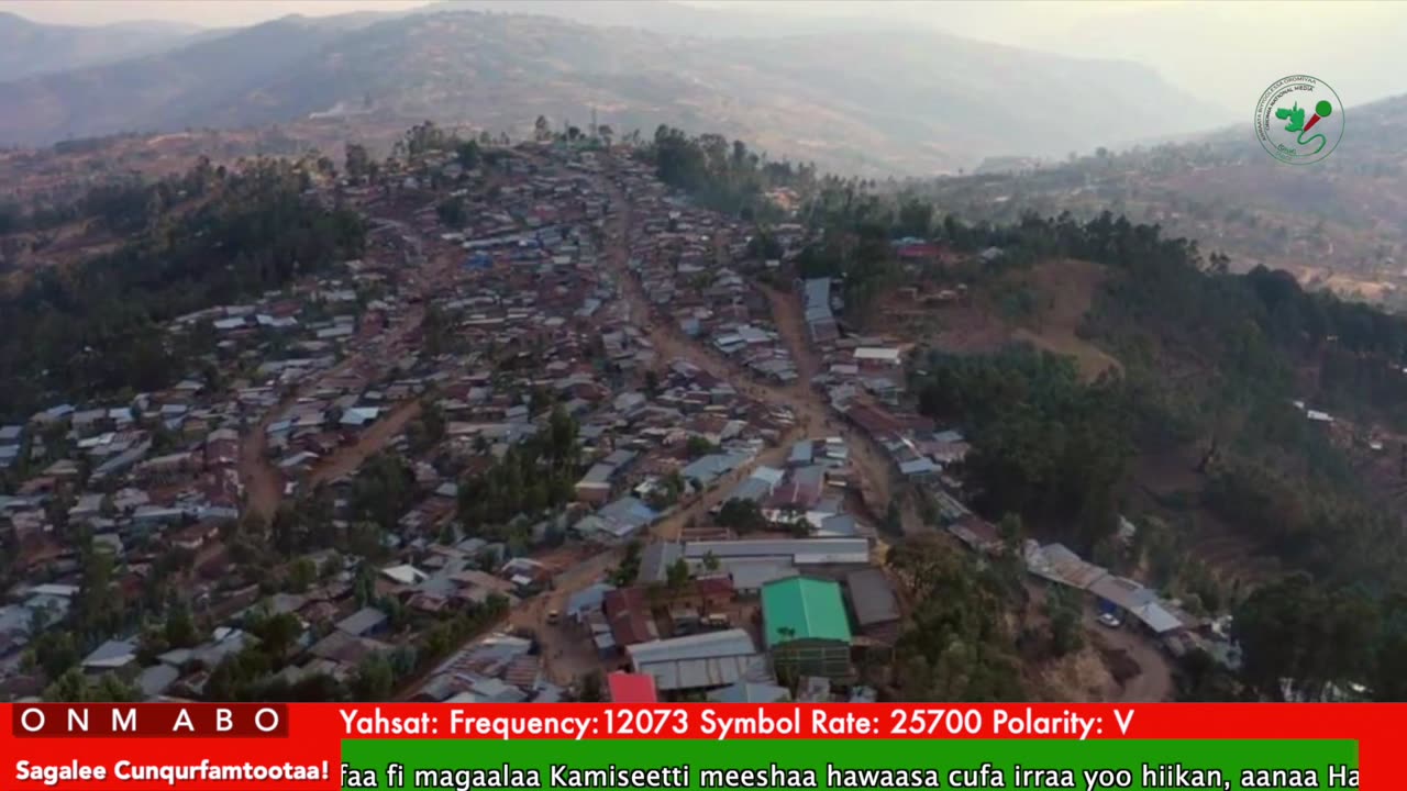 Oduu Ganama ONM-ABO Caamsaa 14-2025 itti dhiyaadhaa!