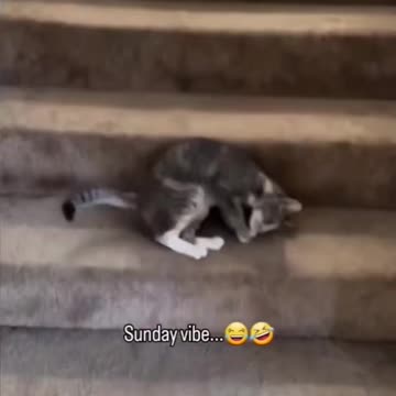 #FyP #Smiley😚Face