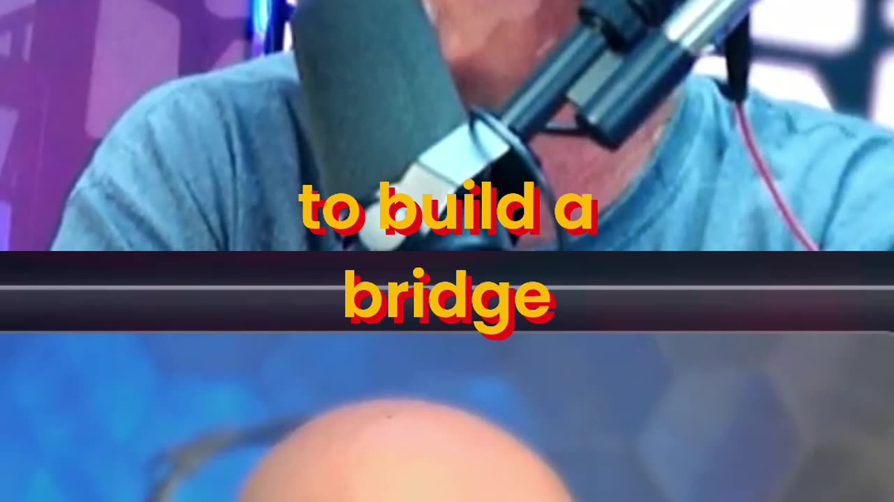 Winning Latinos - Building Bridges with Common Sense