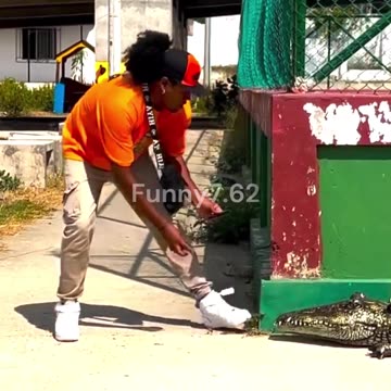 Plastic Crocodile Prank Goes Wrong!