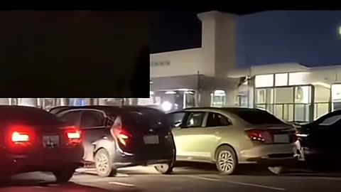 Ball of lightning causes tree to instantly grow