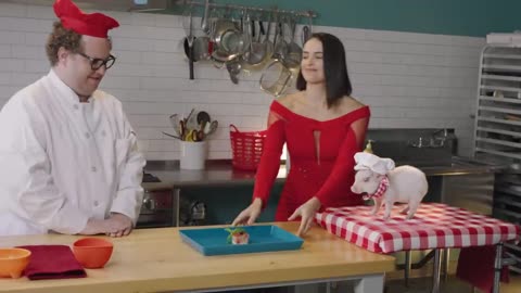 The Cat Cooking Show