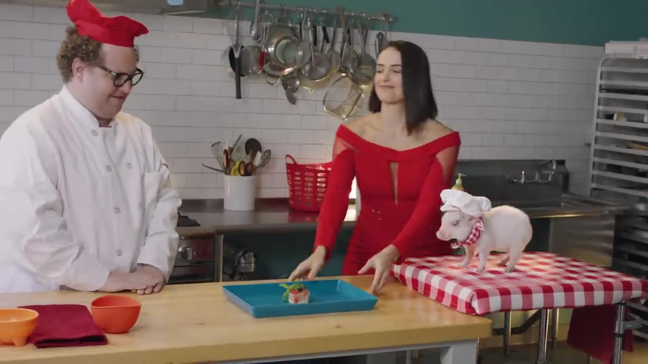 The Cat Cooking Show