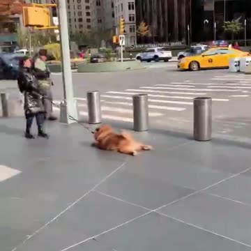 Let’s stay out a little longer