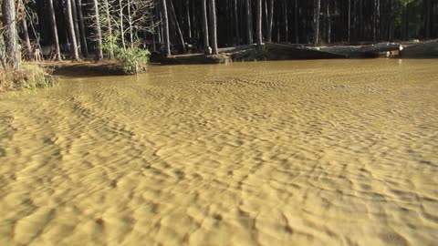 NY sabine 25/26 2144 me playing on laytons 420