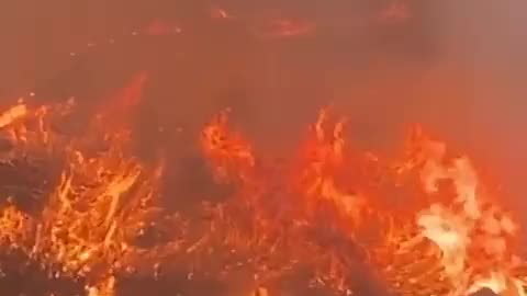 Terrifying forest fire in Oencia, León Province, Spain... See Below for details.