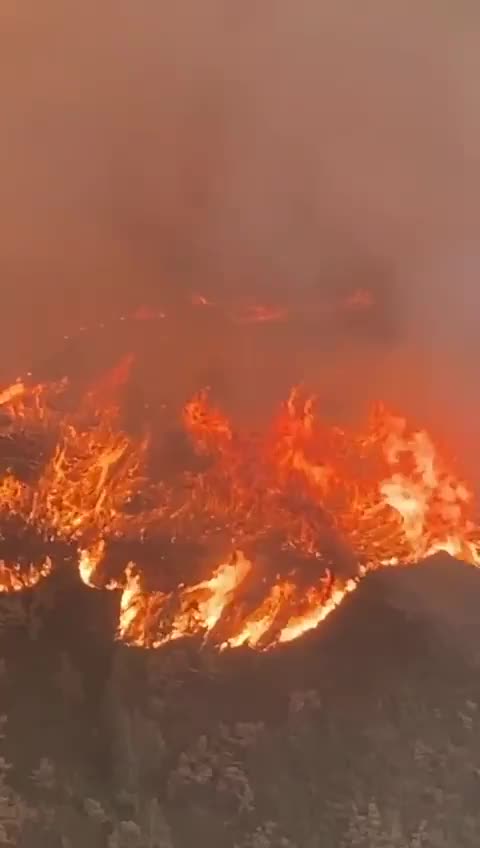 Terrifying forest fire in Oencia, León Province, Spain... See Below for details.