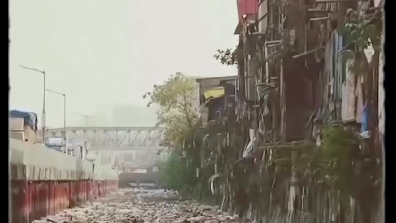 Human vs Animal